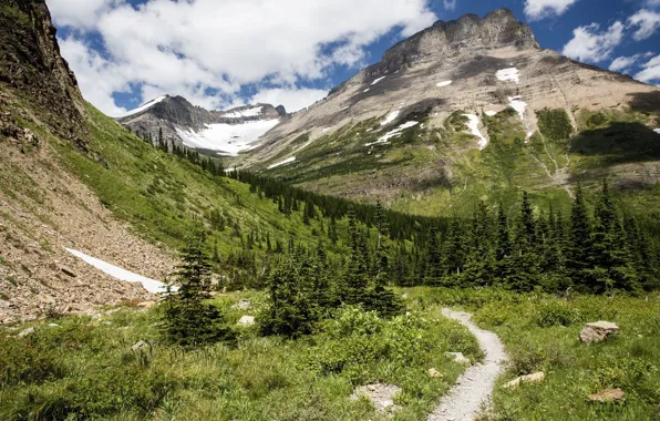 Картинка лес, горы, природа, тропинка