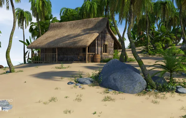 Камни, пальмы, бочка, постройка, SecludedIsland