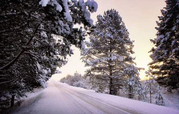 Картинка зима, дорога, снег, деревья
