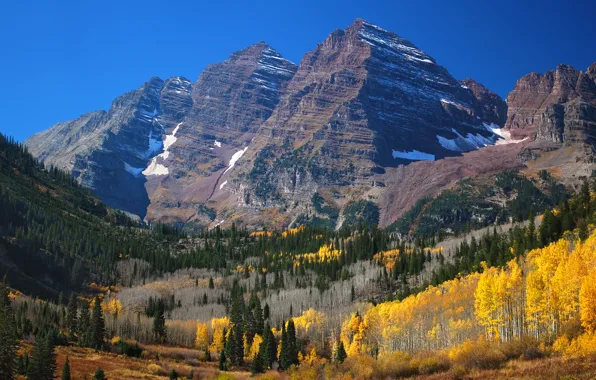 Лес, горы, вершины, Colorado, Aspen