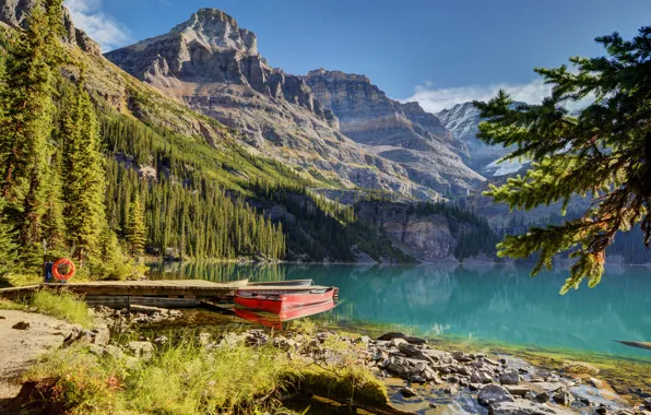Картинка лес, горы, озеро, пристань, лодки, ели, Канада, Canada