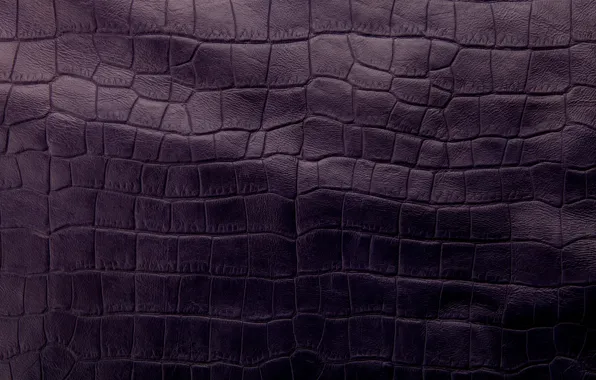 Кожа, texture, leather, purple, crocodile skin