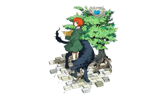 Девушка, аниме, арт, Mahou Tsukai no Yome