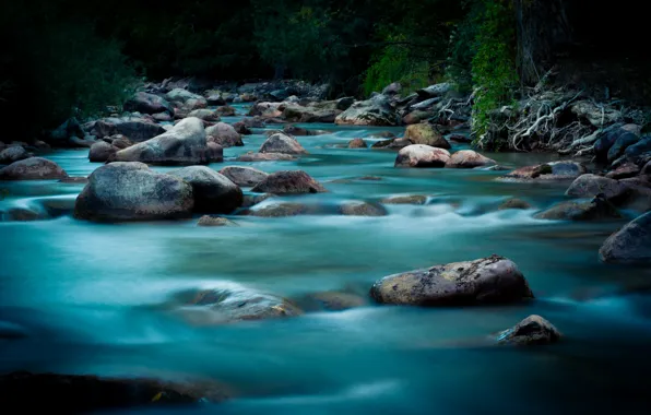 Вода, природа, река, течение, river, nature, water