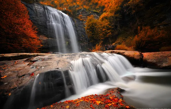 Картинка осень, лес, деревья, камни, водопад, природа. река