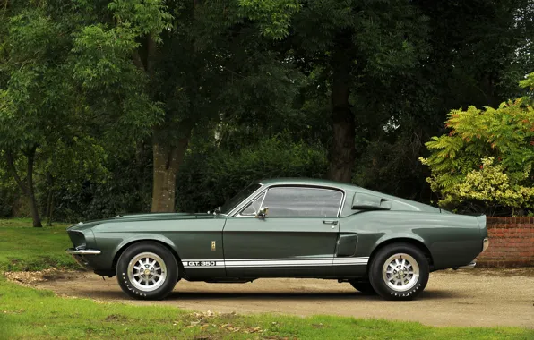 Ford Mustang, вид сбоку, 1967, Muscle Car, Shelby GT350