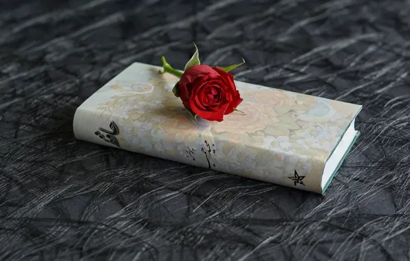 Цветок, роза, книга