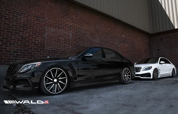 TUNING, WALD, MERCEDES, BENZ, BLACK BISON, W222, S-CLASS