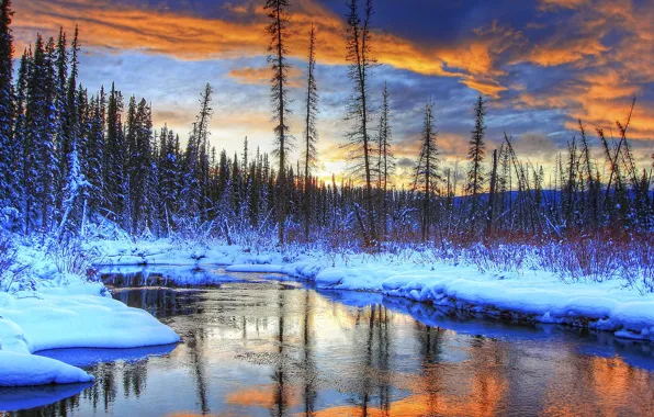 Картинка зима, лес, небо, облака, снег, деревья, пейзаж, закат