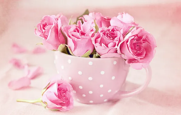 Розы, букет, чашка, pink, cup, roses
