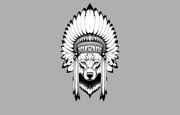Картинка волк, минимализм, голова, перья, индеец, wolf, indian