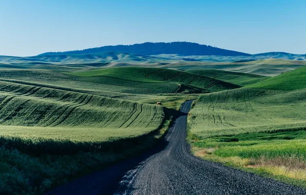 Картинка дорога, поле, небо, горы, зеленый, автобус, ферма