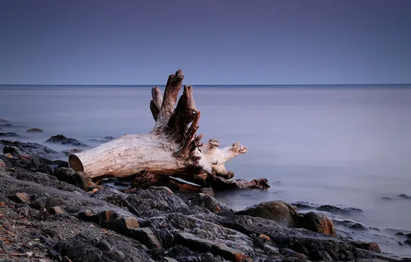 Море, небо, камни, берег, вечер, коряга