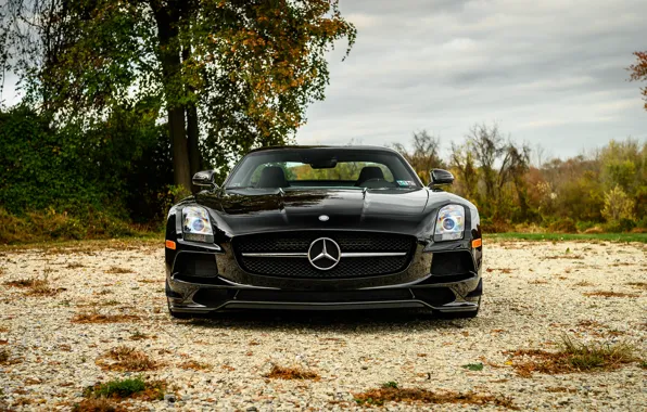 Mercedes, Nature, Front, AMG, Black, SLS, Sight