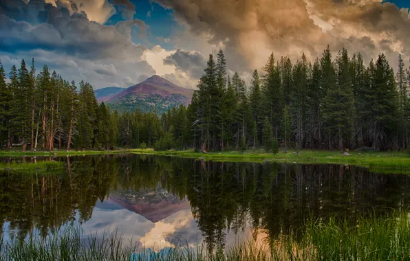 Картинка лес, небо, облака, отражения, горы, озеро, США, Национальный парк Йосемити