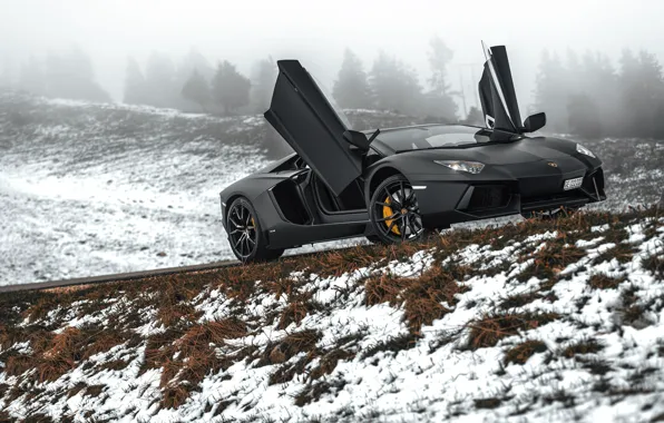 Lamborghini, Black, Snow, LP700-4, Aventador, Road, Supercar, Fog