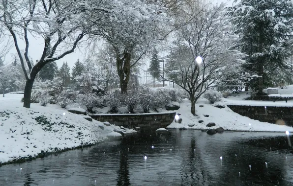 Картинка зима, снег, природа, пруд, Nature, winter, snow, pond