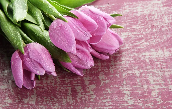 Картинка цветы, букет, тюльпаны, wood, pink, flowers, tulips, spring