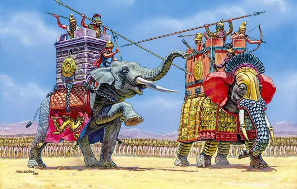 Картинка слон, воины, армии, экипаж, индийский, североафриканский лесной слон., армий, перед битвой каждая сторона выдвинула