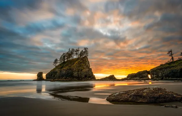 Песок, пляж, деревья, скала, океан, рассвет, Washington, Olympic National Park