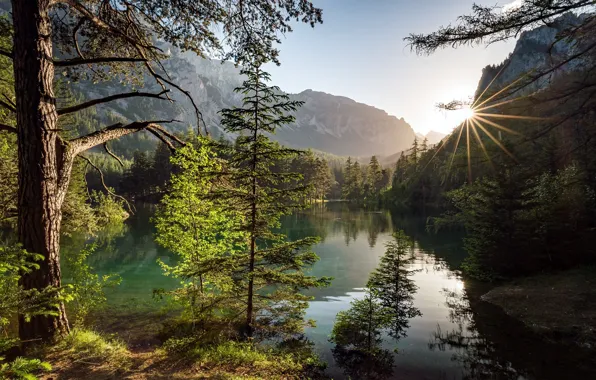 Деревья, горы, озеро, Австрия, Austria, Alps, Штирия, Green Lake
