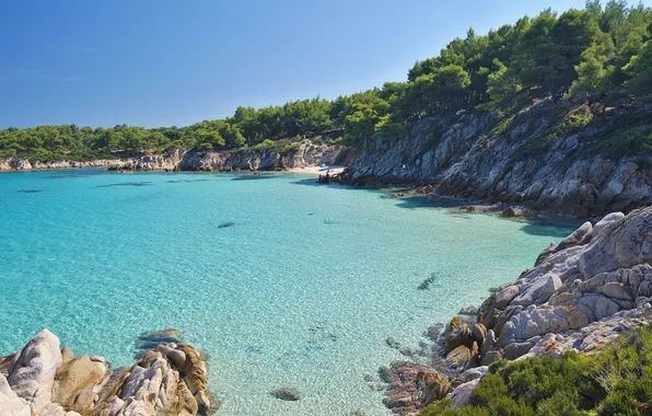 Море, деревья, прозрачная вода, скалы, Греция, Халкидики, Sithonia, Kavourotripes coast