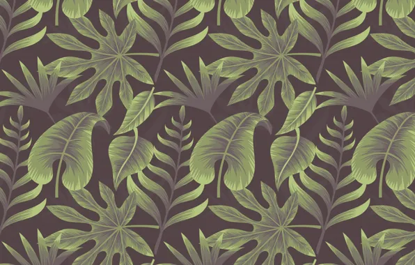 Картинка фон, текстура, background, Leaves, Tropical, Plant