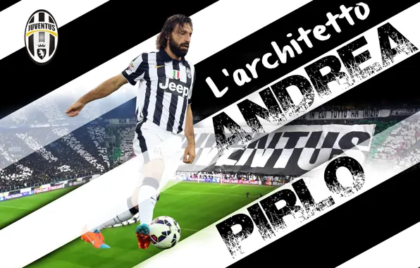 Wallpaper, sport, football, player, Andrea Pirlo, Juventus FC, Juventus Stadium, L'architetto