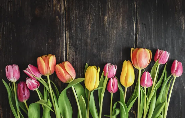 Цветы, colorful, тюльпаны, fresh, wood, flowers, beautiful, tulips