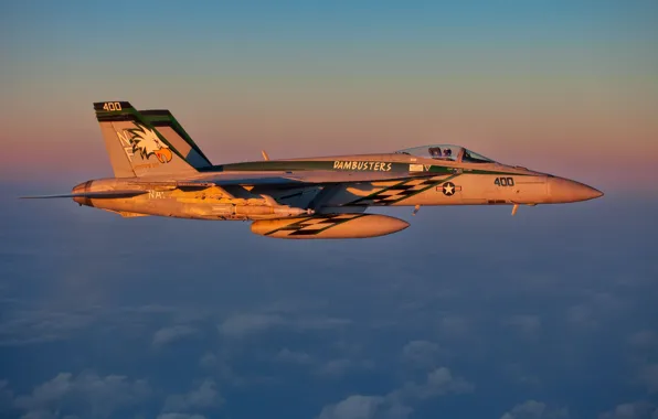 Картинка полет, истребитель, пилот, Super Hornet, F-18, палубный