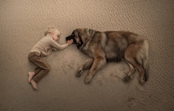 Картинка песок, собака, мальчик, дружба, друзья