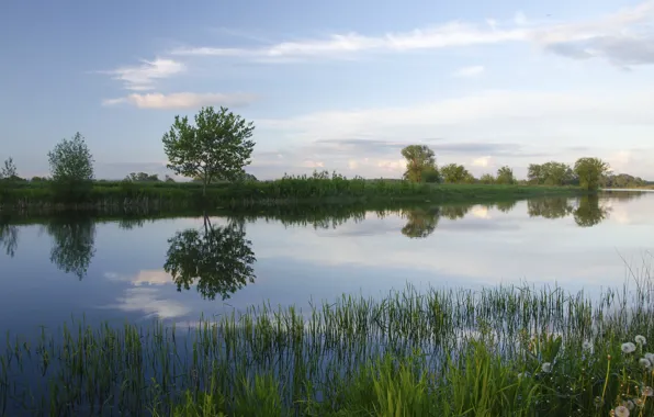 Картинка лето, небо, трава, вода, озеро, отражение, река