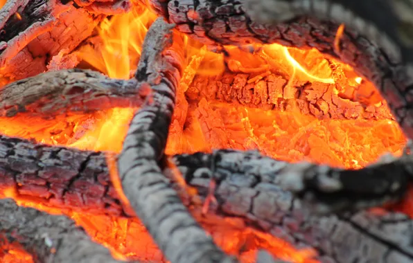 Картинка fire, wood, heat, combustion, firewood, coals
