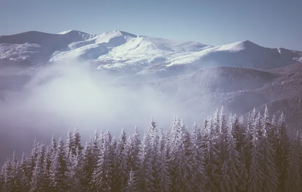 Картинка зима, лес, снег, деревья, горы, туман