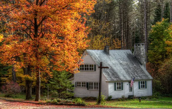 Картинка осень, деревья, город, дом, фото, США, Marshfield