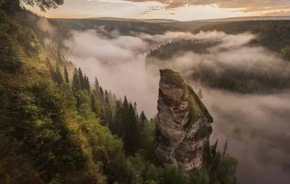 Картинка forest, nature, mountains, fog