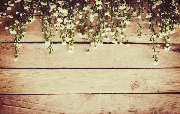 Цветы, весна, white, белые, wood, blossom, flowers, spring