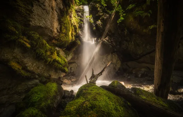 Картинка лес, камни, водопад, мох, поток, коряга