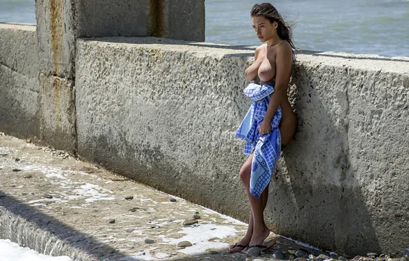 Девушка, ass, beach, nature, boobs, model, tattoo, nude