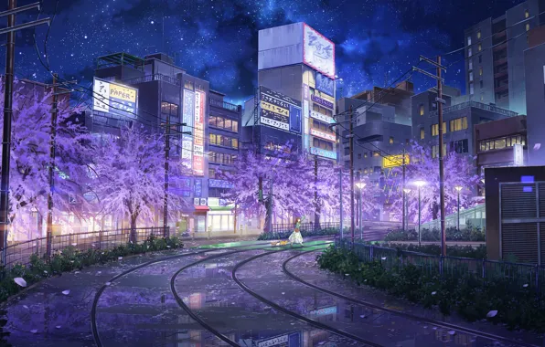 Картинка кошка, девушка, деревья, ночь, город, релься