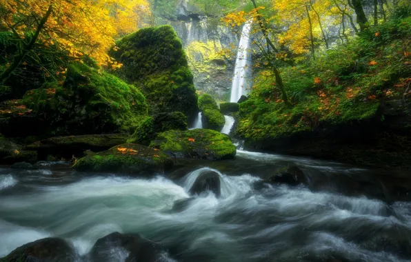 Картинка осень, лес, река, ручей, камни, водопад, мох, Орегон