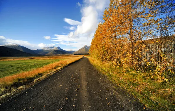 Картинка дорога, поле, осень, небо, деревья, горы