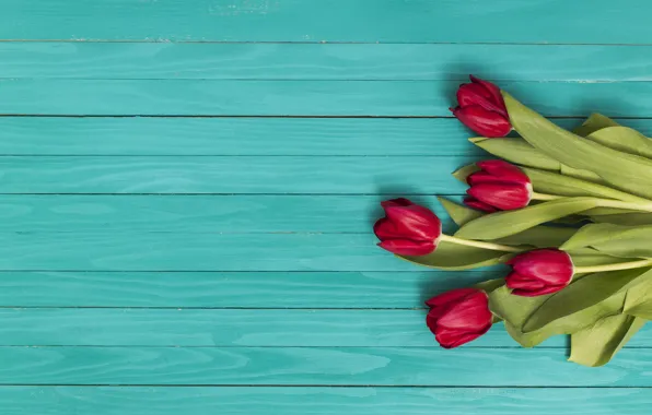 Green, букет, тюльпаны, красные, red, flowers, tulip, Ana Lukenda