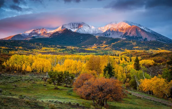 Картинка осень, свет, деревья, горы, краски, утро, Колорадо, США