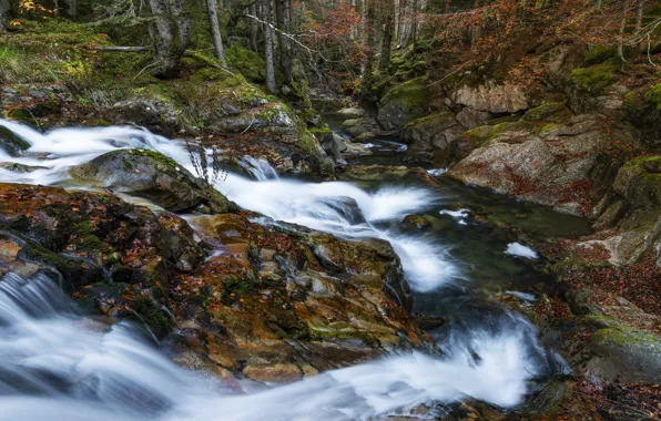 Осень, лес, камни, скалы, берег, листва, водопад, листопад