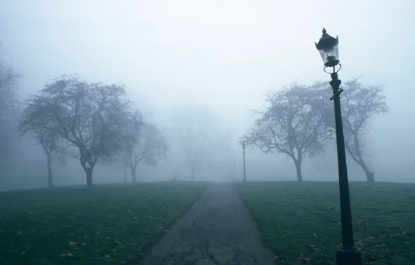 Картинка деревья, туман, тропа, фонарь