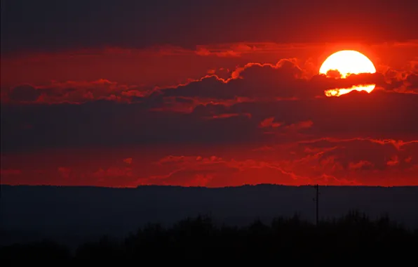 Картинка небо, солнце, деревья, закат, тучи, горизонт