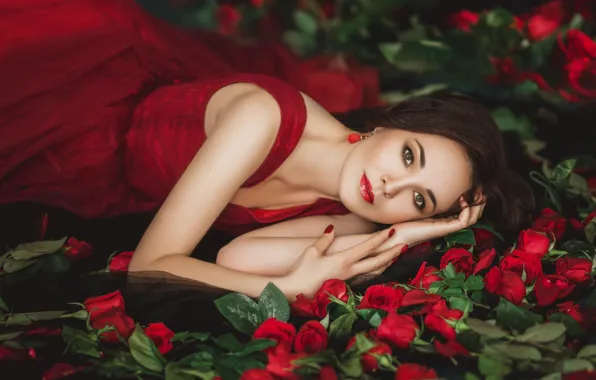Взгляд, девушка, цветы, лицо, поза, женщина, портрет, розы