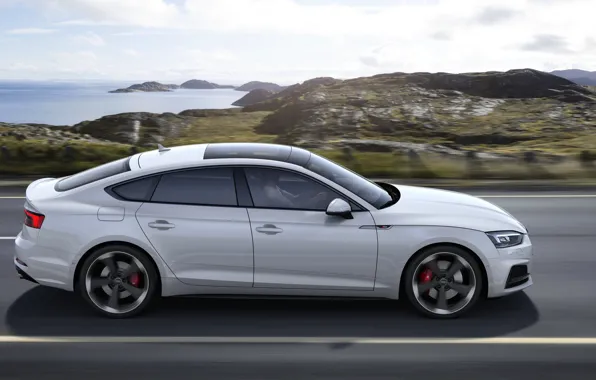 Картинка Audi, профиль, Audi A5, 2019, S5 Sportback