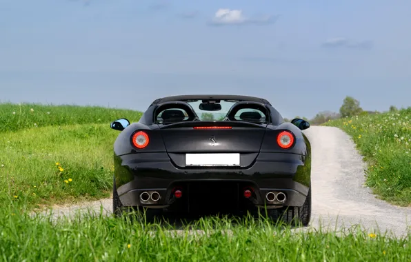 Ferrari, rear, SA Aperta, Ferrari SA Aperta